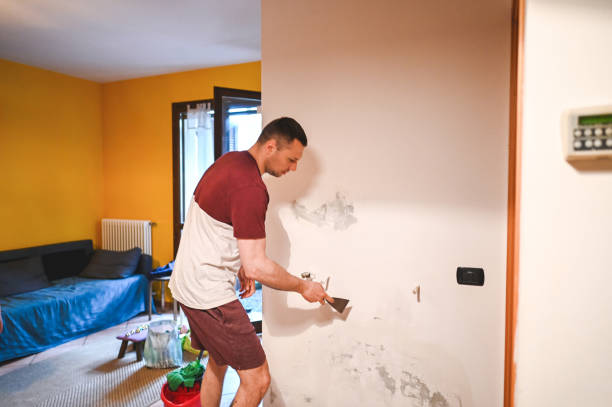 Best Mold Cleaning Services  in Cedar Bluff, VA